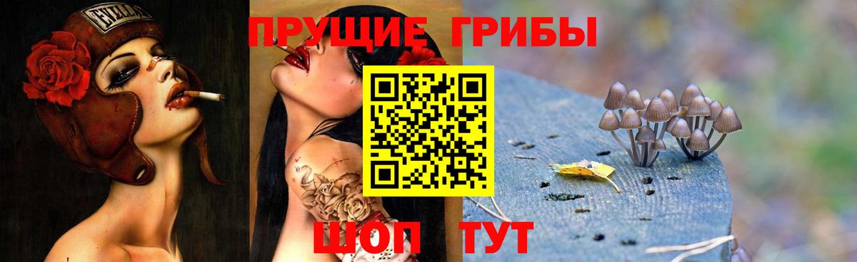 Сланцы  Галлюциногенные грибы мухоморы  Вход с VPN 